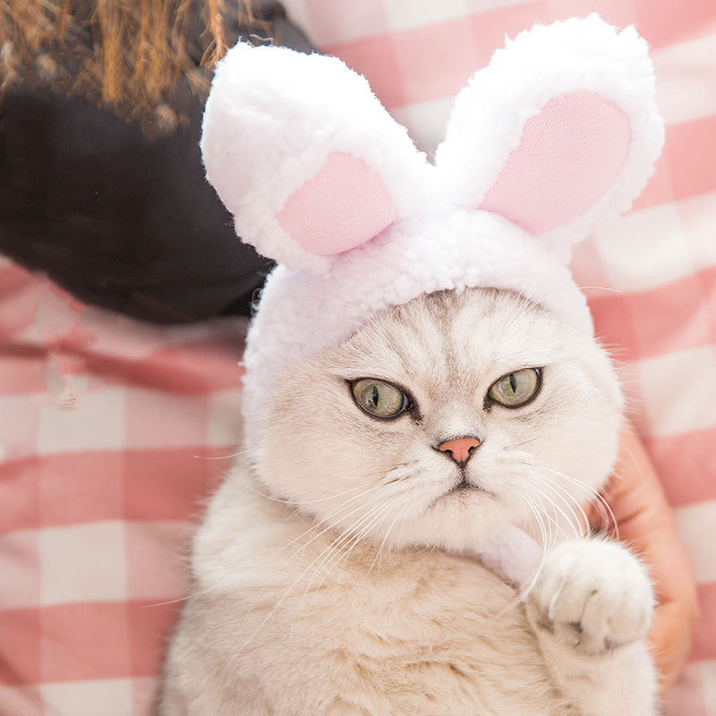 Funny Pet Dog Cat Cap Cosplay