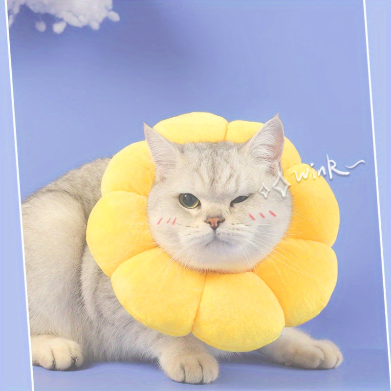 Cat Small Dog Recovery Collar
