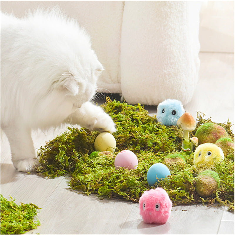 Kitty Calling Ball Toy