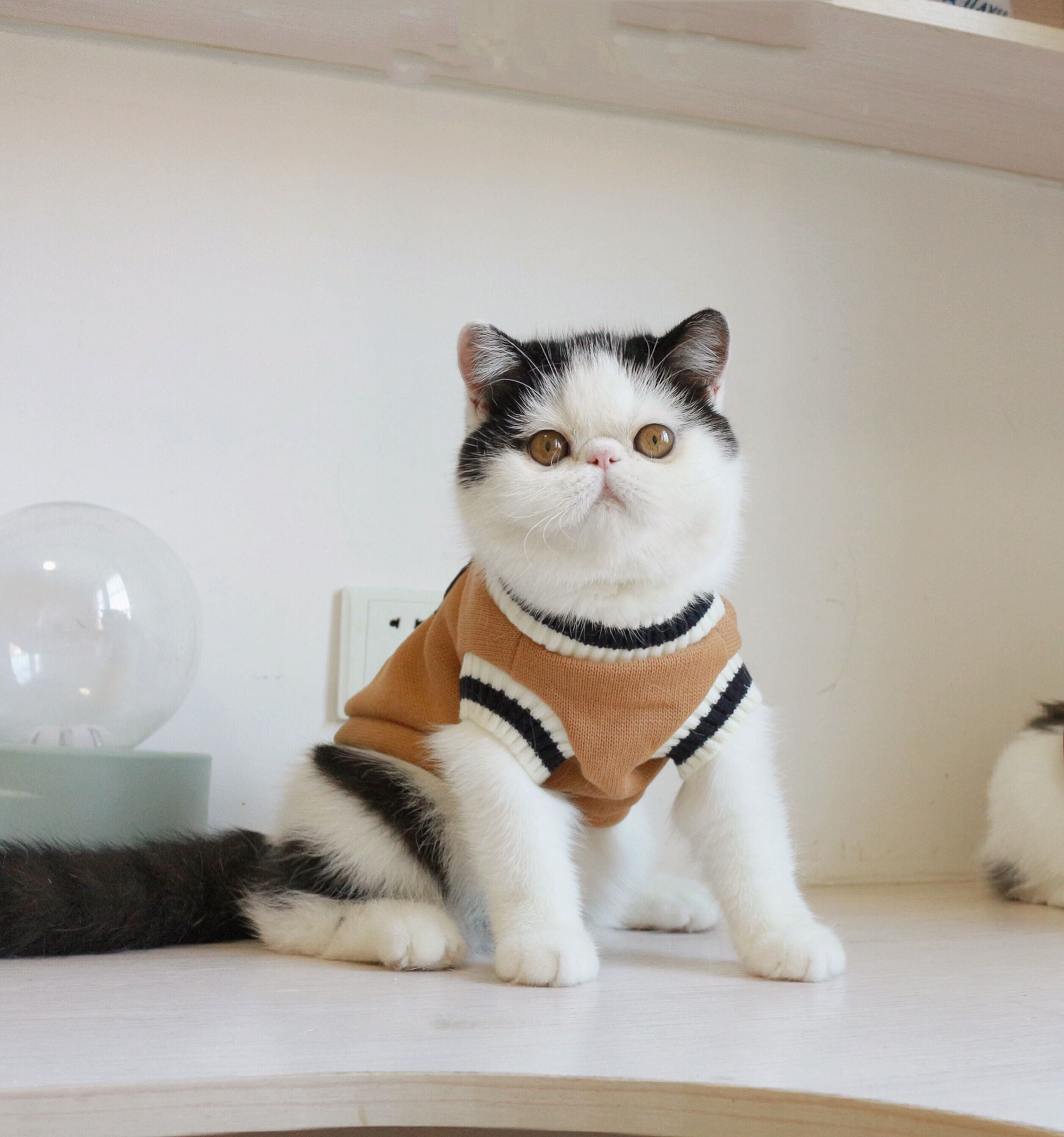 American College Style Cat Knit Sweater