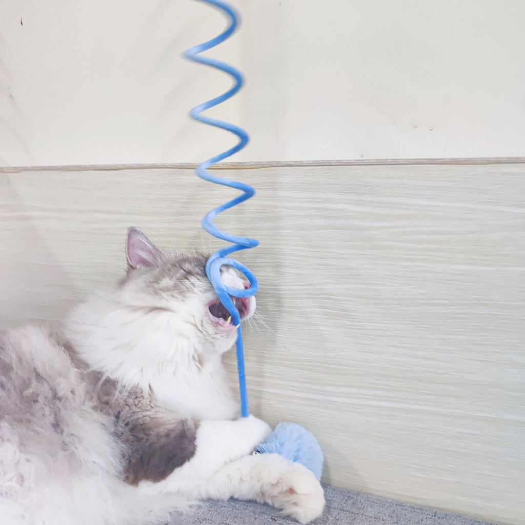 Cat Toy Self-Hi Sucker Spring