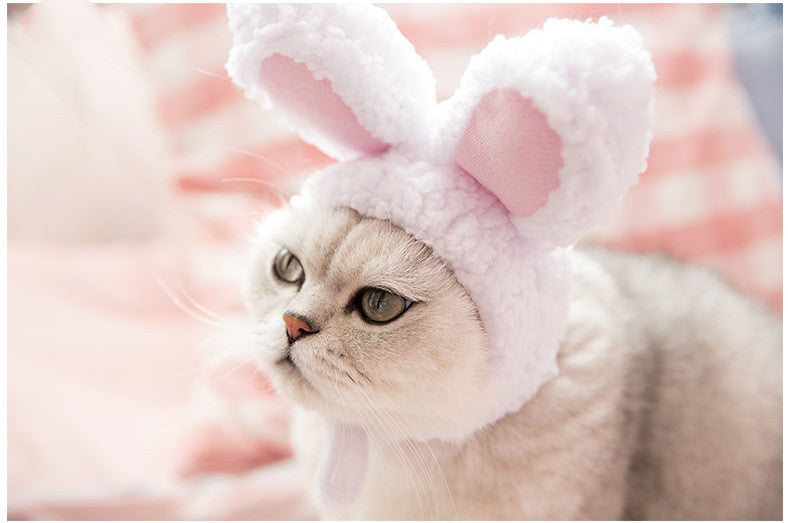 Funny Pet Dog Cat Cap Cosplay