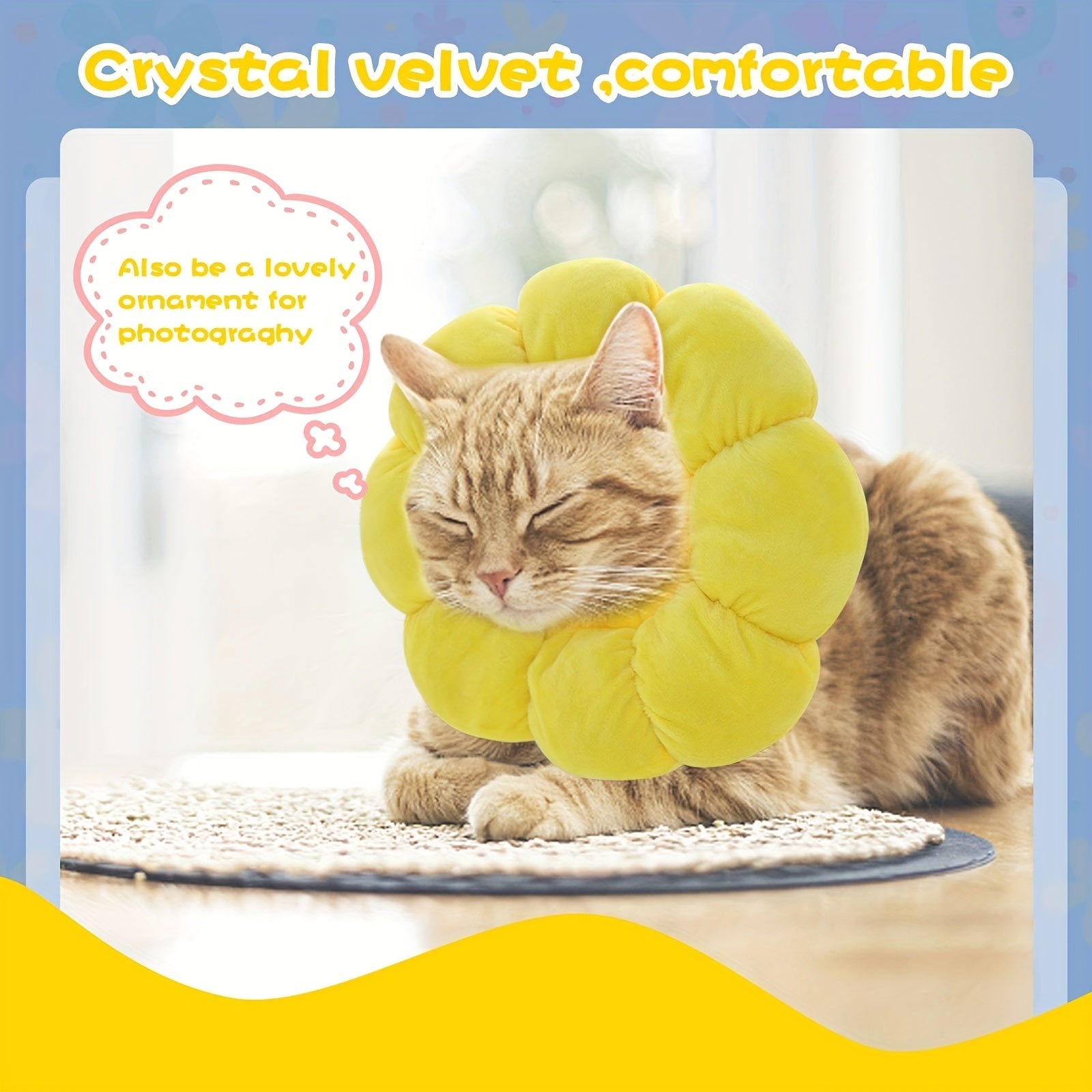 Cat Small Dog Recovery Collar