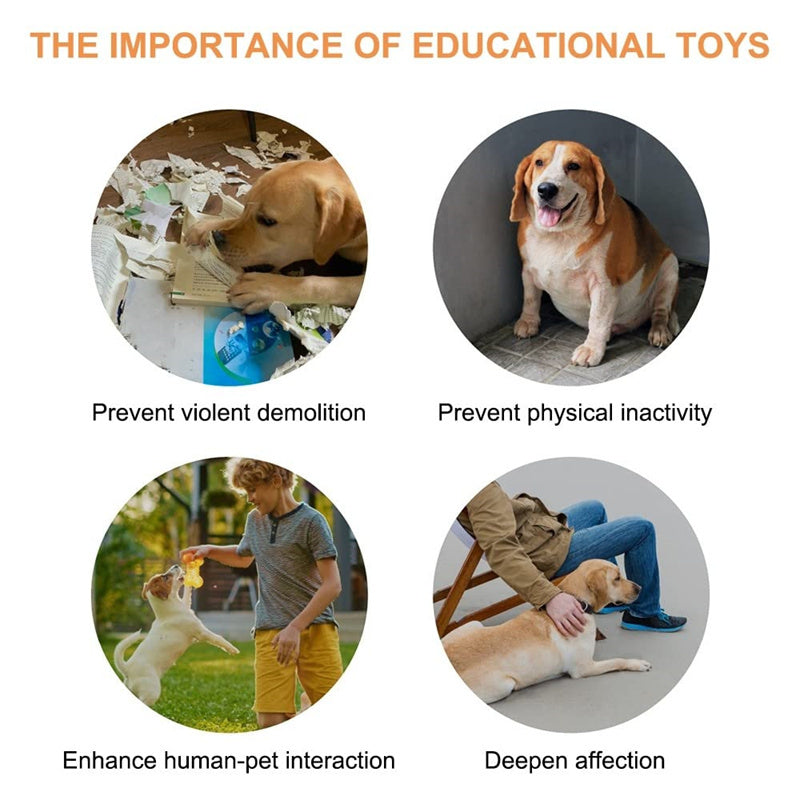 4 Colors Pet Communication Button