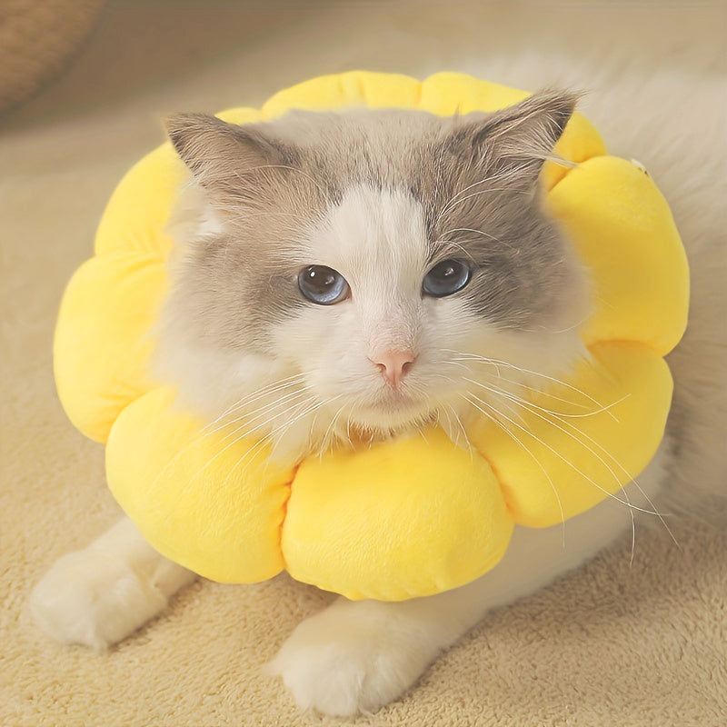 Cat Small Dog Recovery Collar